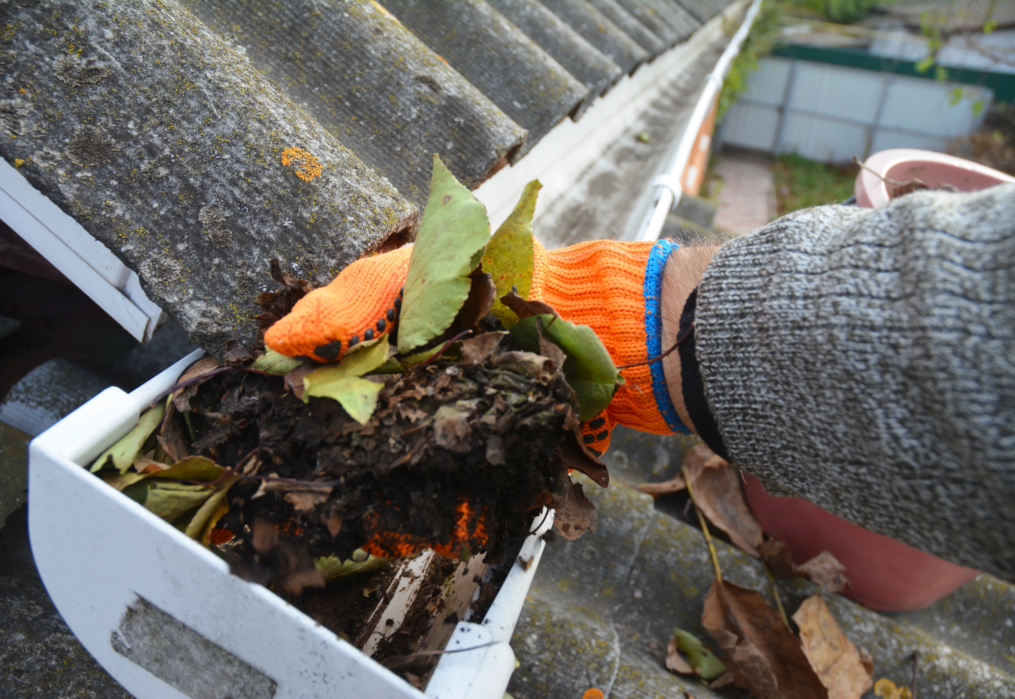 Exceed professional window cleaning & services professional cleaning gutter in Edmonton.