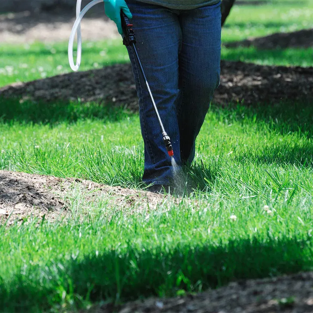 Professional lawn services like fertilizer and weed control in Arlington for a vibrant, healthy lawn.