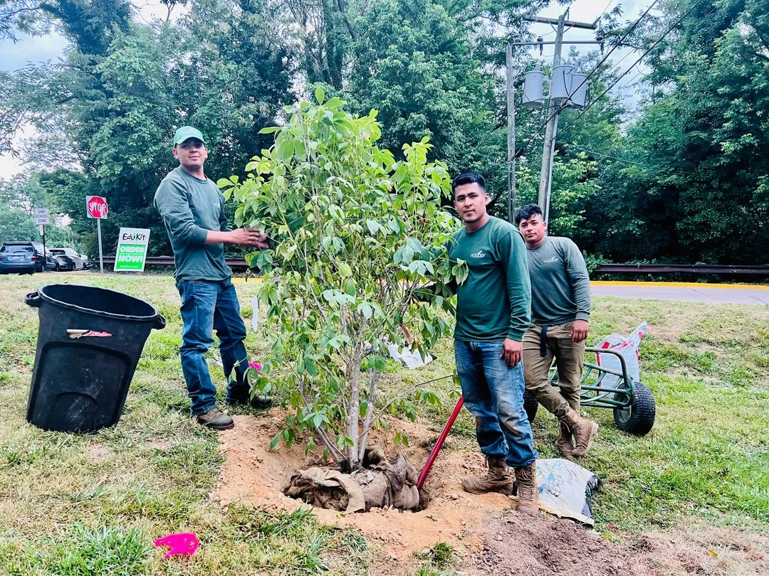 Greener Lawn Maintenance LLC giving back to community.