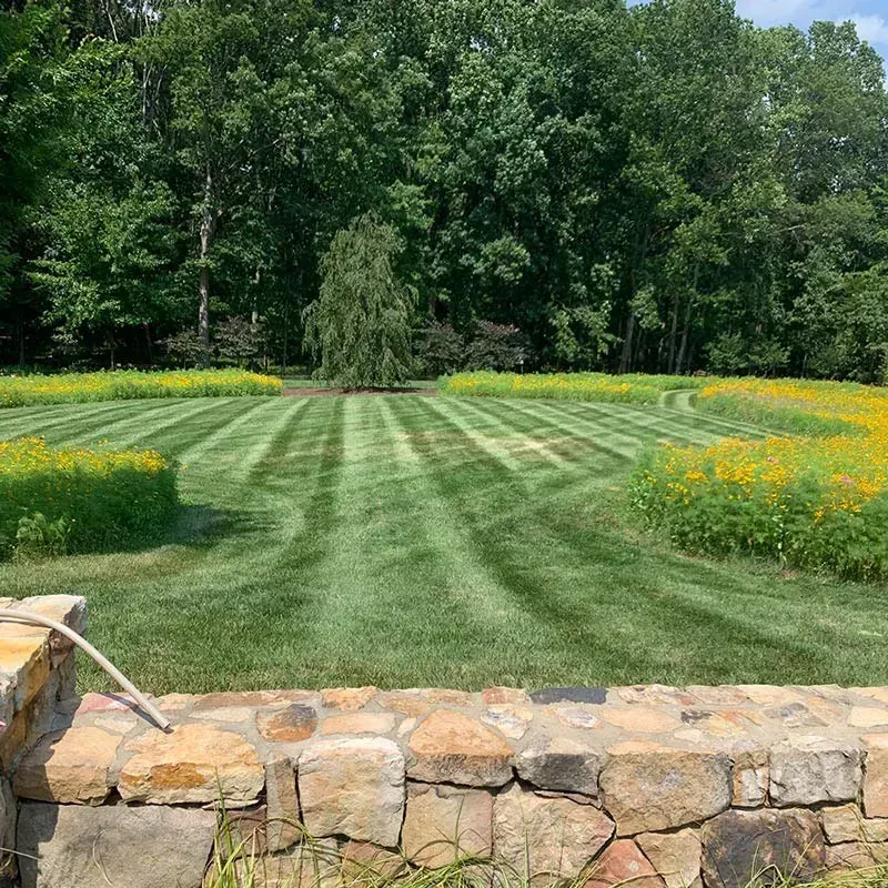 Precision mowing by Greener Lawn Maintenance LLC, showcasing a perfectly striped lawn in Arlington, Virginia.