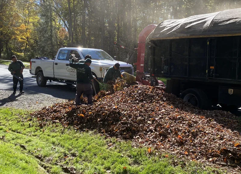 Leaf removal by a lawn care company in Arlington, West Virginia.