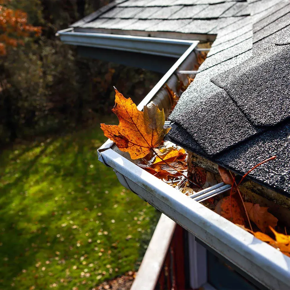 Lawn maintenance services, including leaf removal from gutters in a home in Arlington, VA.