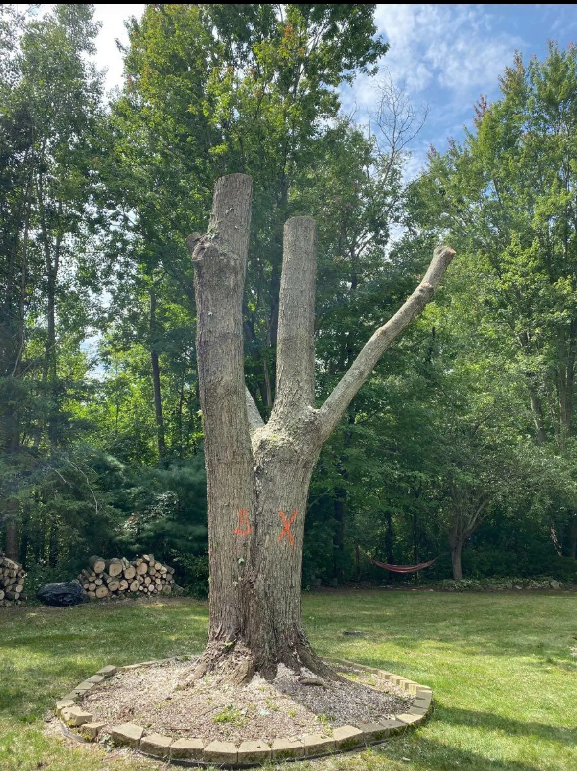 Skilled arborists of K & M Services performing expert tree removal in Lake Angelus, MI