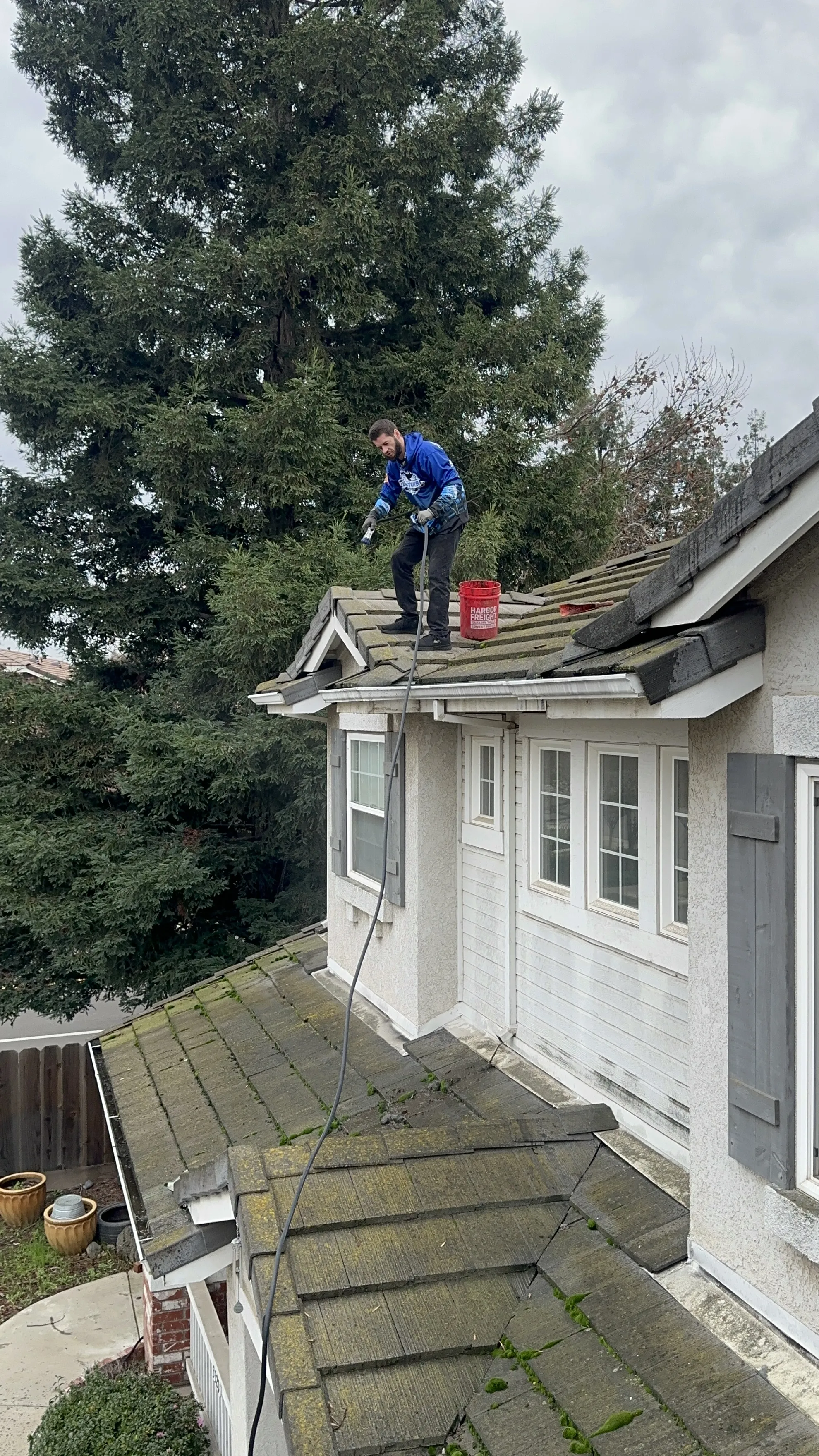 Mike's Exterior Cleaning Services in action, showing the transformative power of professional window cleaning.