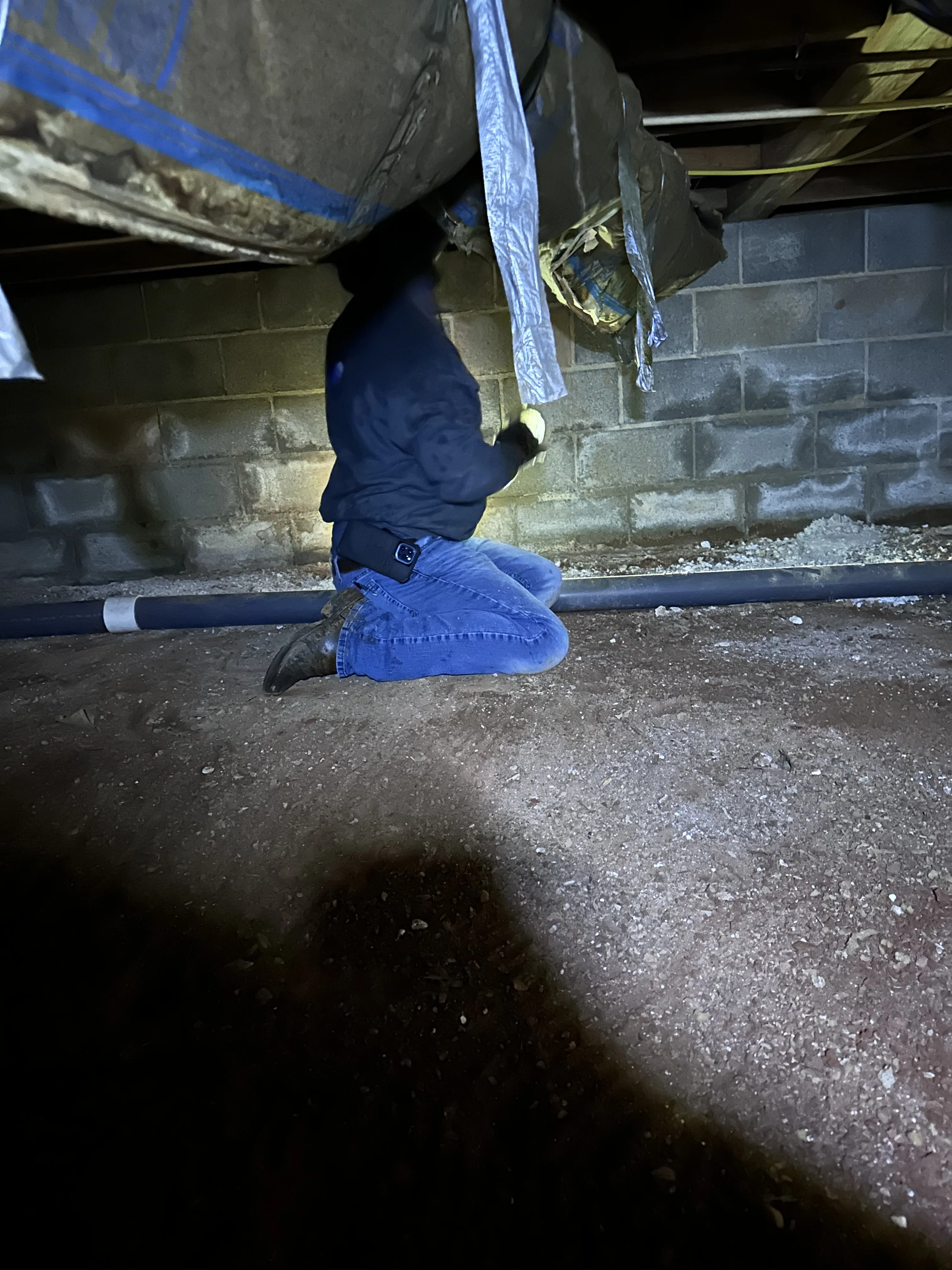 Thorough pest inspector scrutinizing a Boone home to ensure it's pest-free.