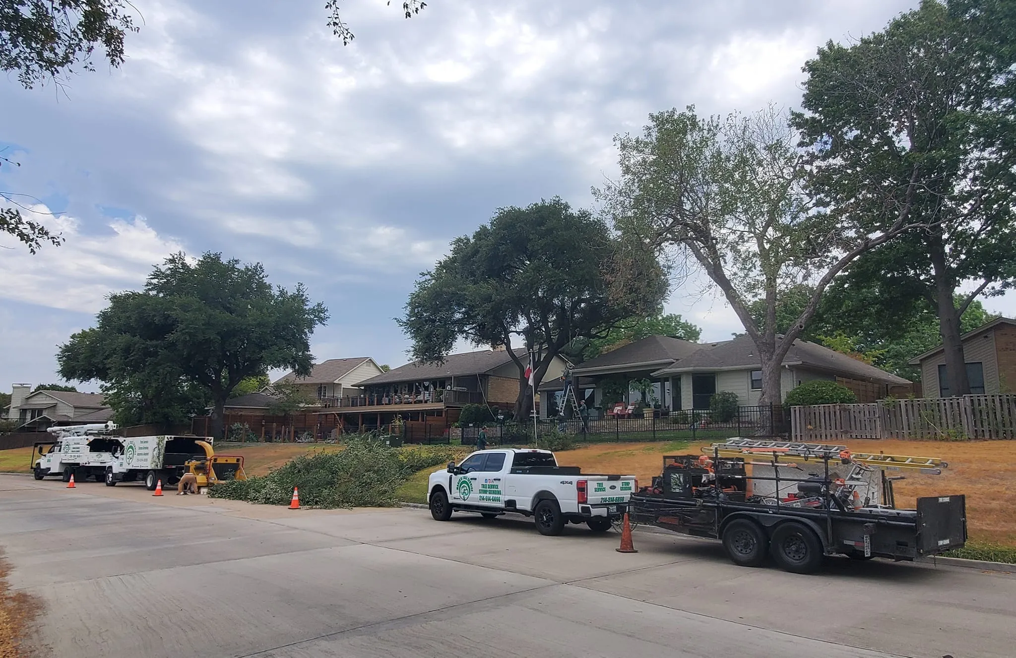 Our skilled team providing expert tree trimming services in Rockwall, Texas