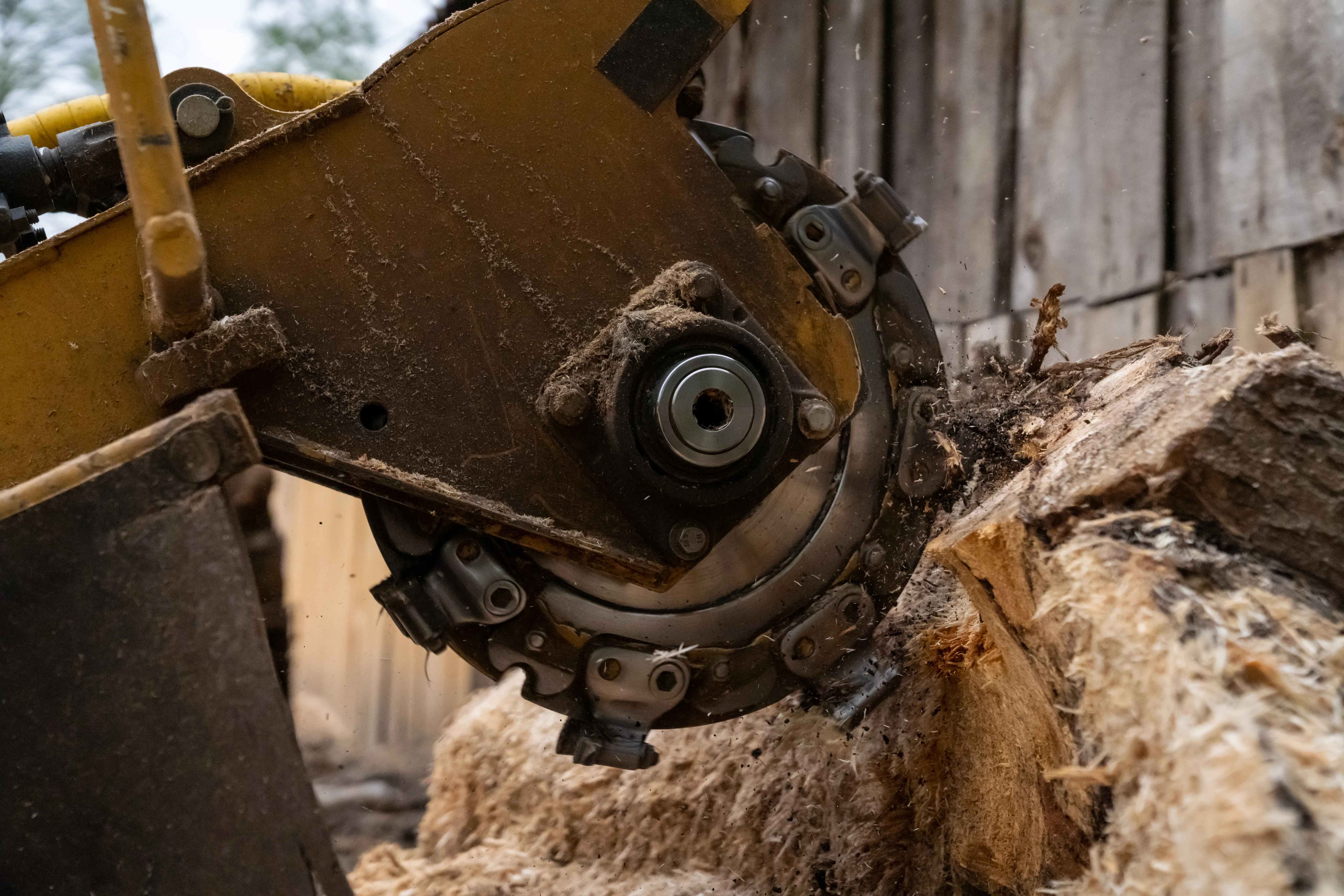 Professional stump grinding service by Mario's Tree Service in Rockwall, Texas