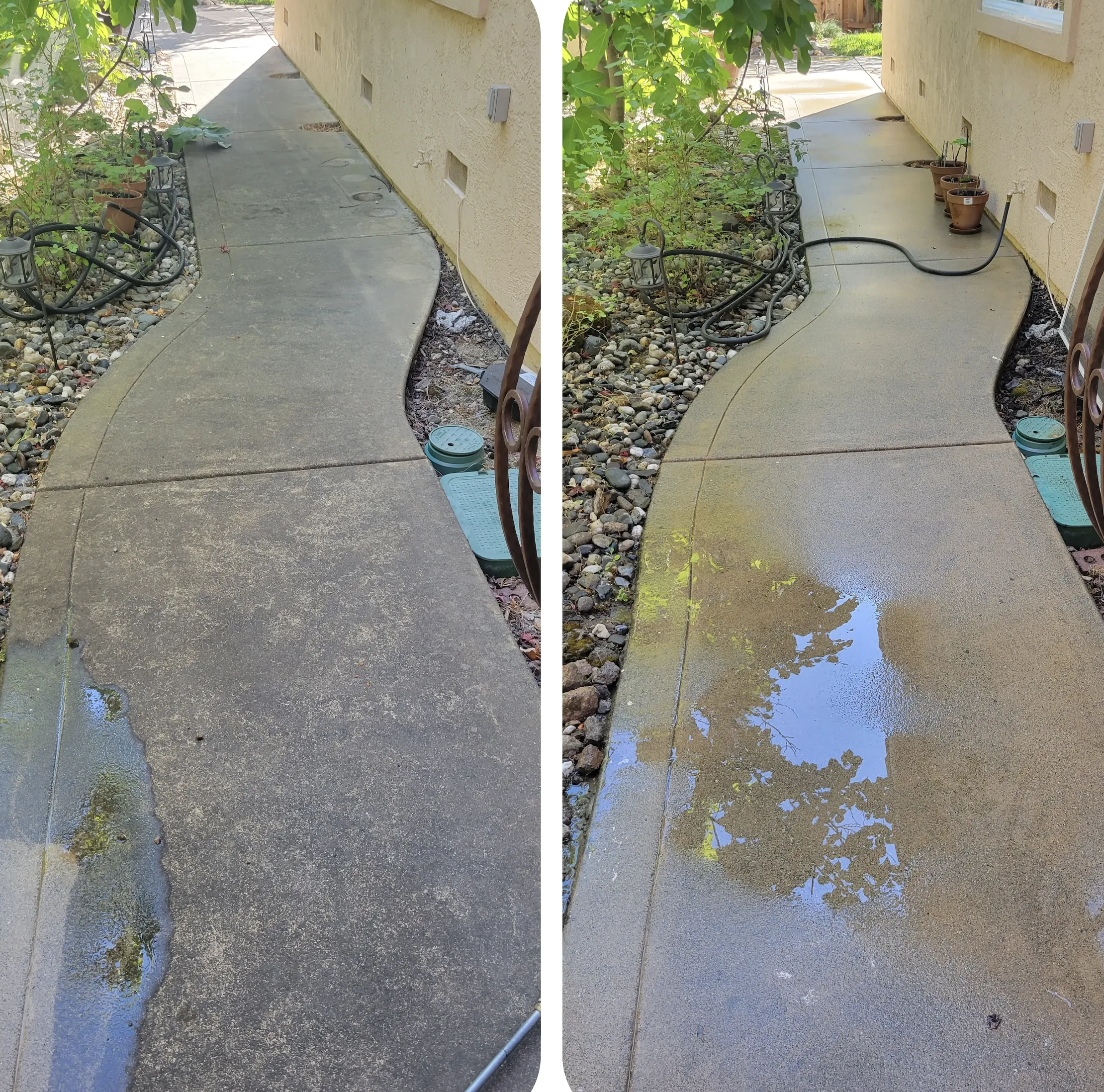 Professional pressure washed the driveways.