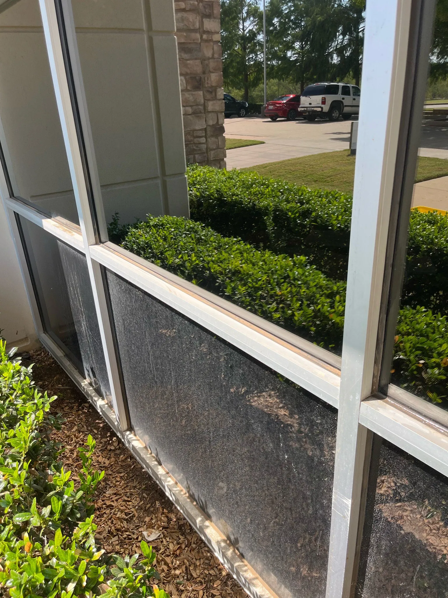 Windows that are being cleaned with the top half sparkling after being cleaned and the bottom half dirty before being cleaned. 