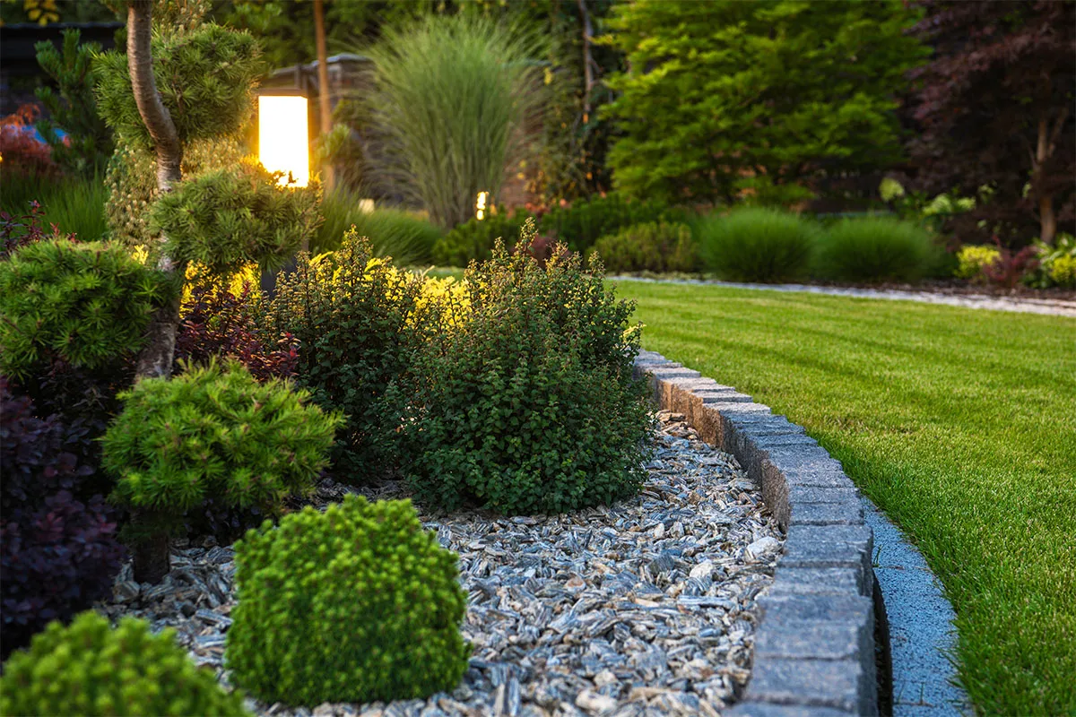 Landscape lighting illuminating garden features.