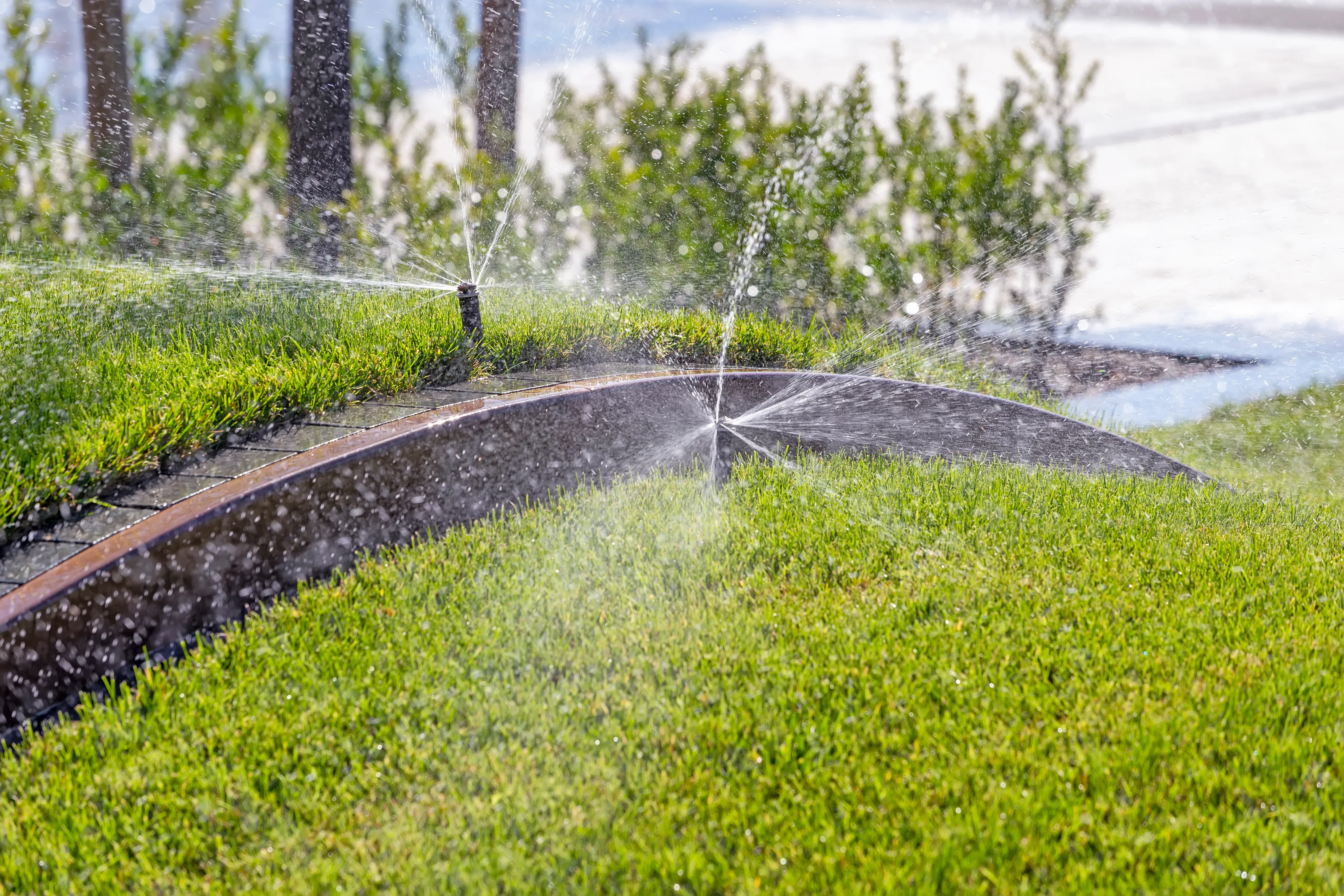 A sprinkler system that has been professionally installed on a residential lawn.