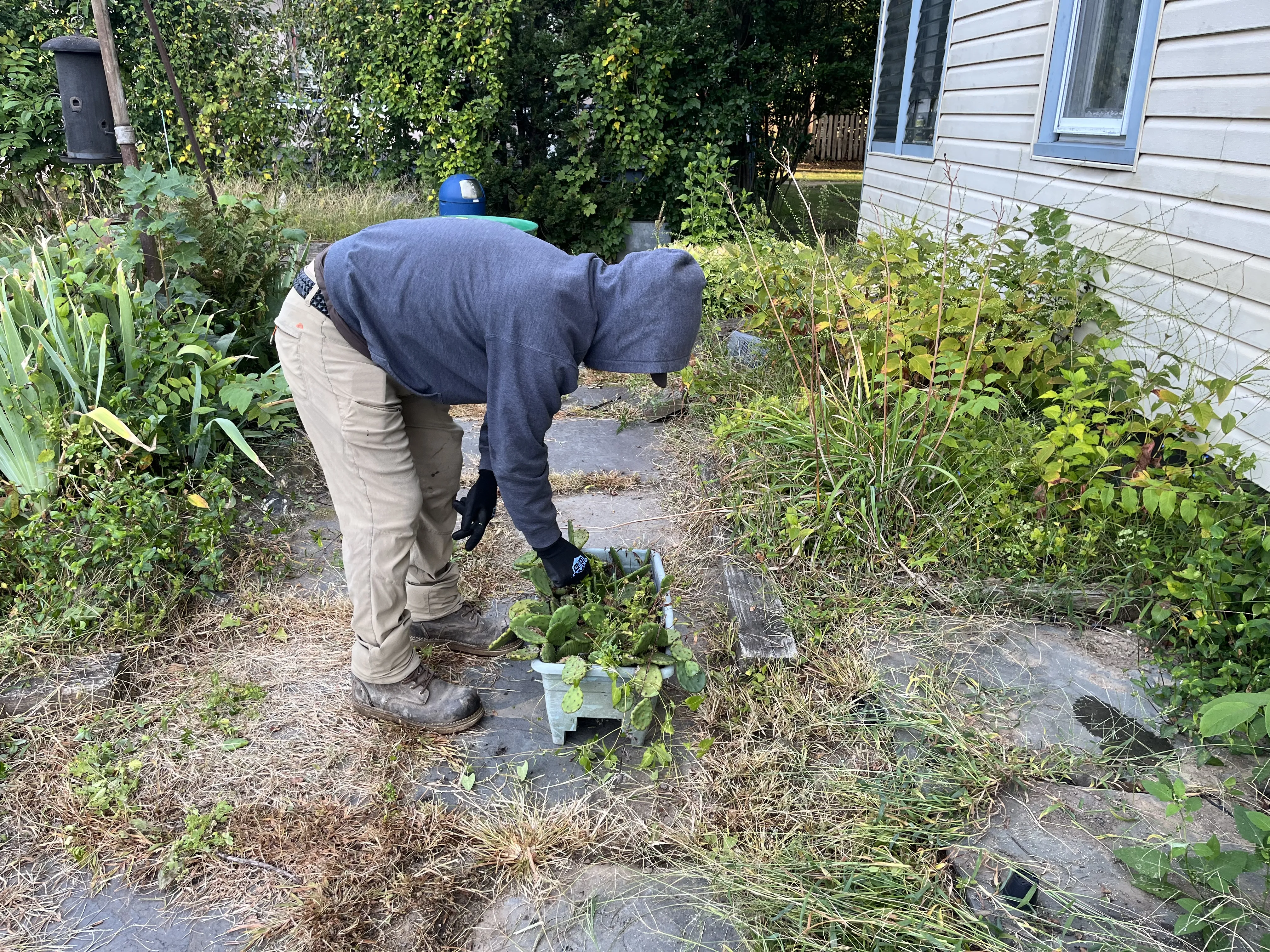 A green icon of a seed spreader or sprinkler nourishing a new lawn.