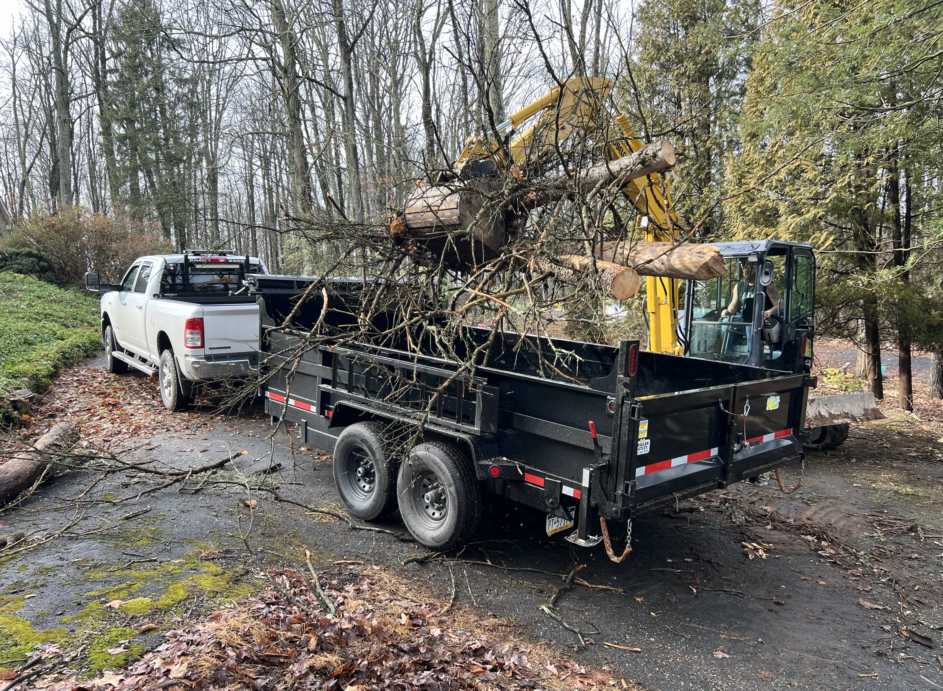 All Around Property Care in East Stroudsburg offers tree removal services.