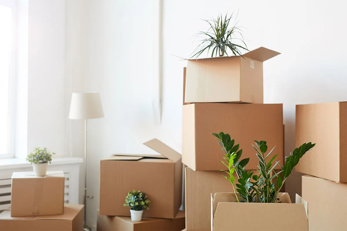Move-out boxes in a property that is having move-out cleaning.