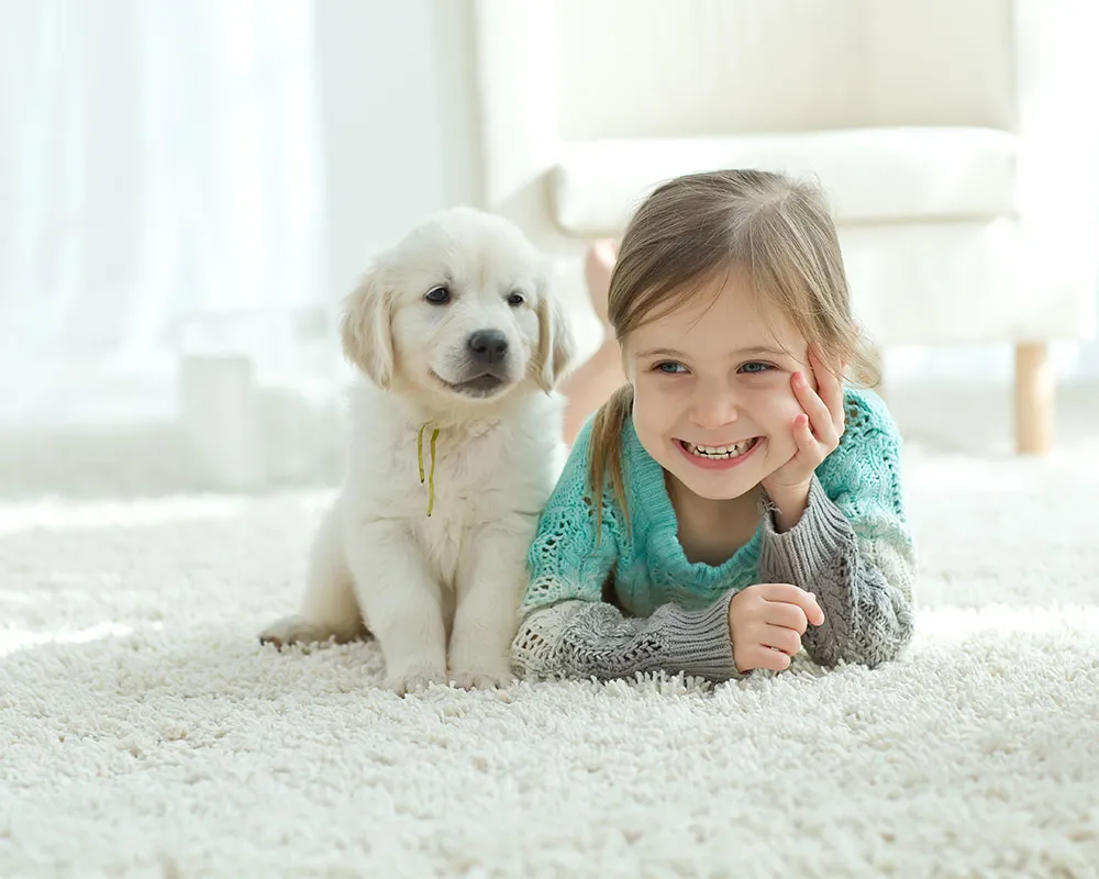 Child on the fresh carpet with a dog.