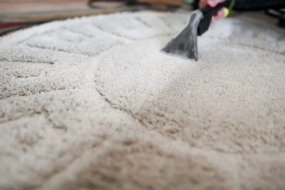 Carpet cleaning services