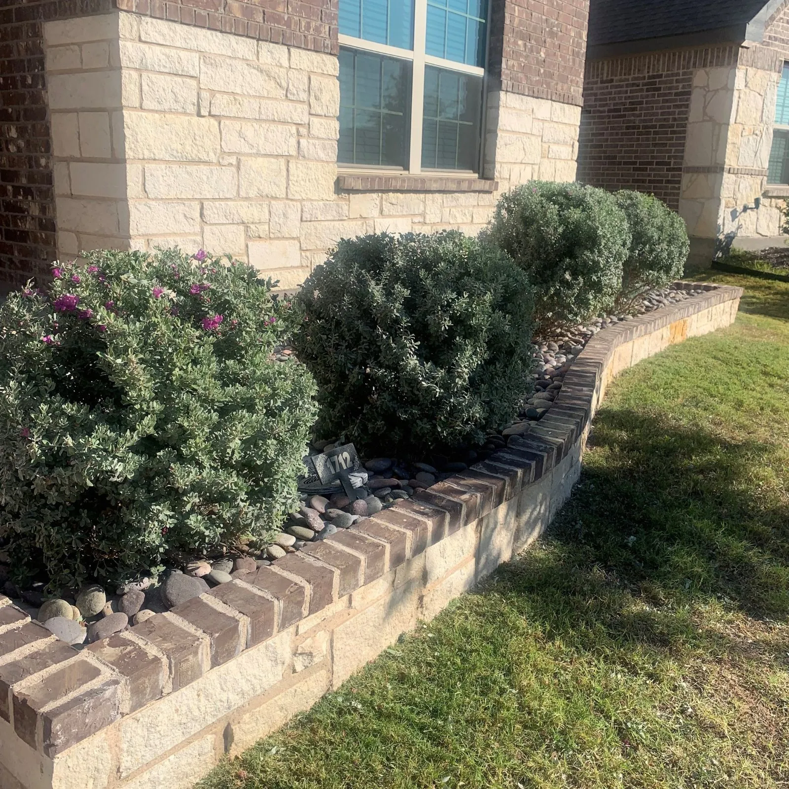 Top-quality landscaping services and lush lawn care year-round dallas fort worth, TX