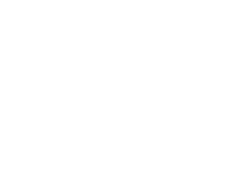 Salina Steam Team