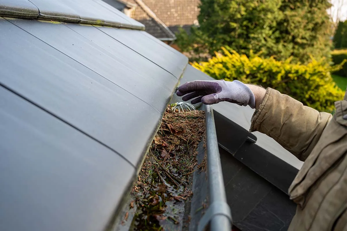 Professional gutter cleaning service removing leaves, dirt, and debris to prevent water damage and protect the home.