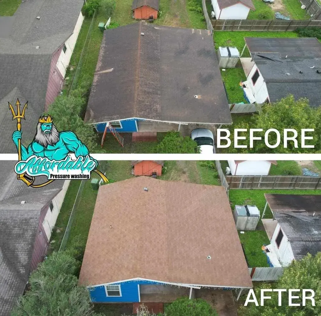Before-and-after comparison of soft washing roof shingles using a low-pressure spray system.