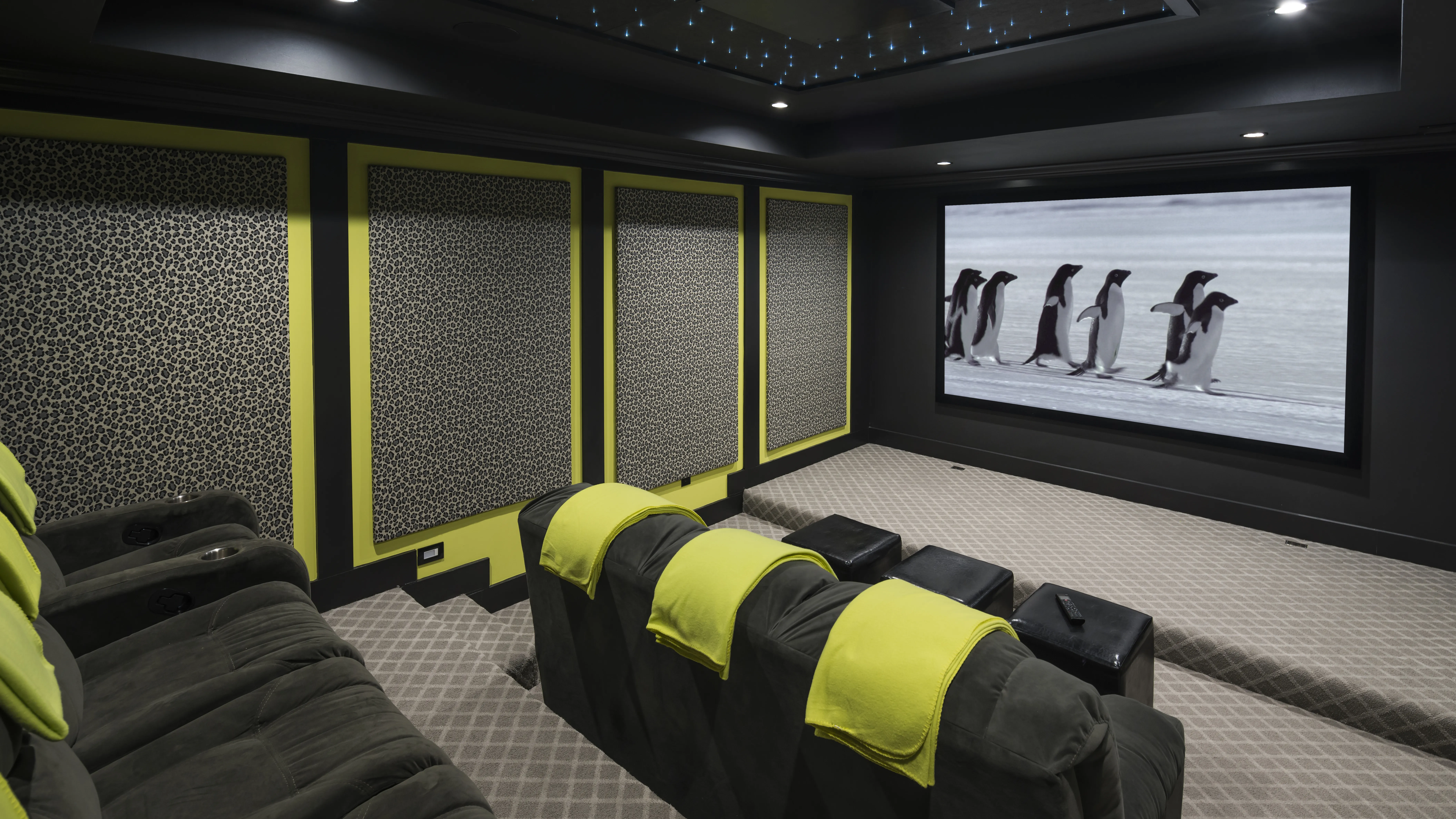 Smart home installation services for an in-home cinema in Nashville