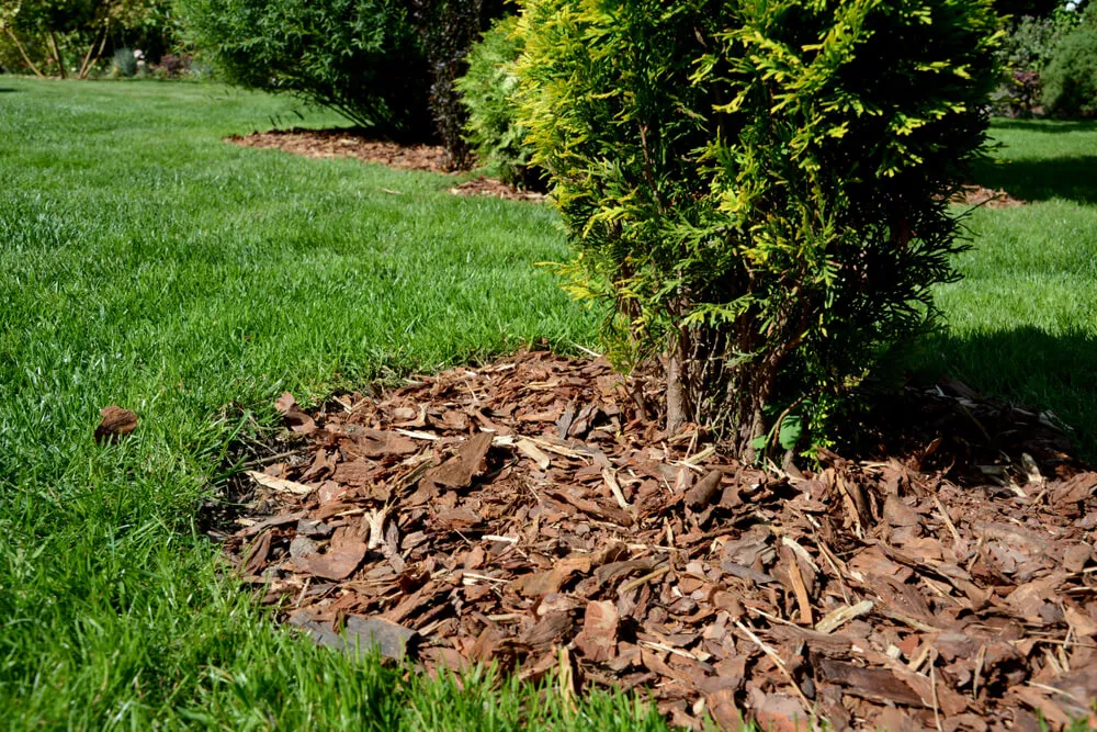 Worker spreading mulch in flower beds for a clean finish