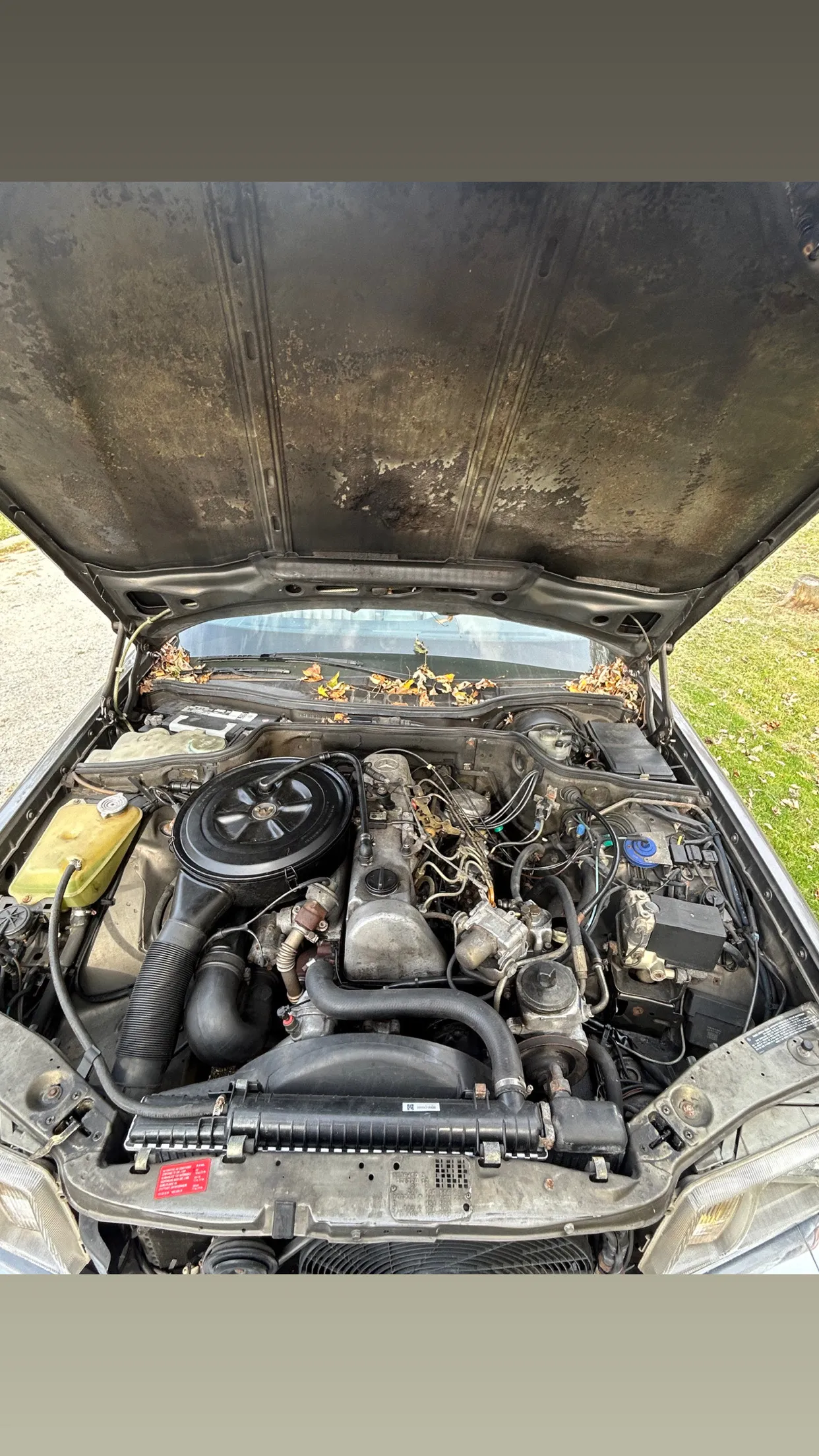 Mechanic performing engine diagnostics on a late-model sedan.
