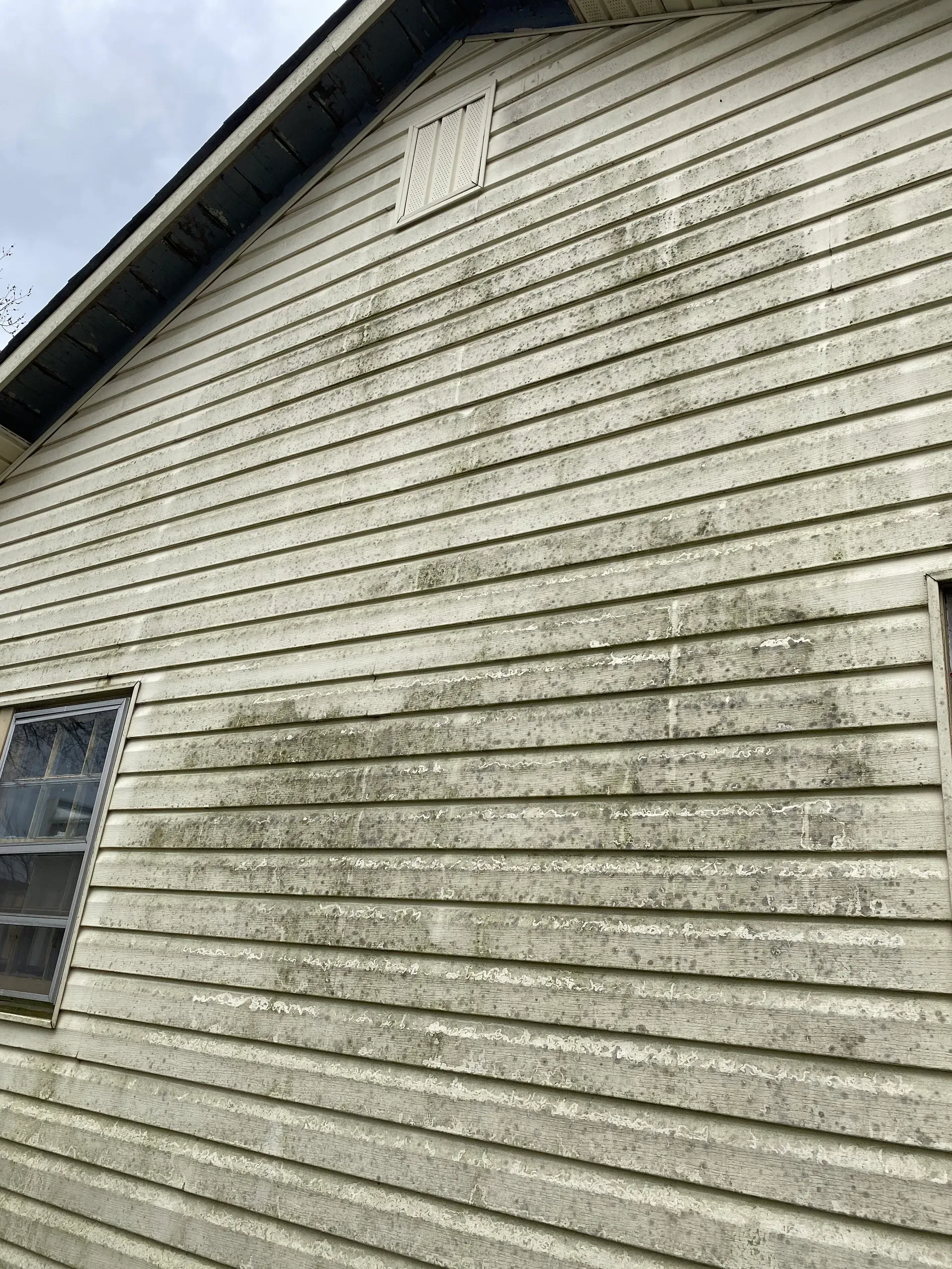 Dirty painted siding before pressure washing, showing mold mildew, buildup on exterior surfaces, reducing curb appeal