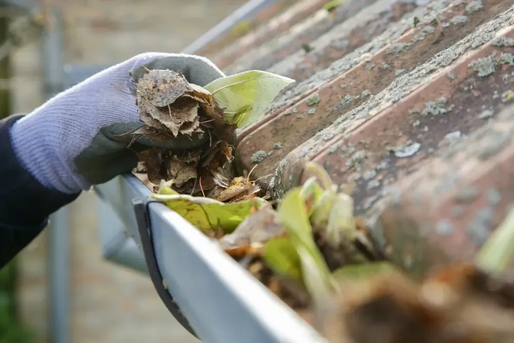 Reach areas and attention to detail with our gutter cleaning services for the best customer experience.