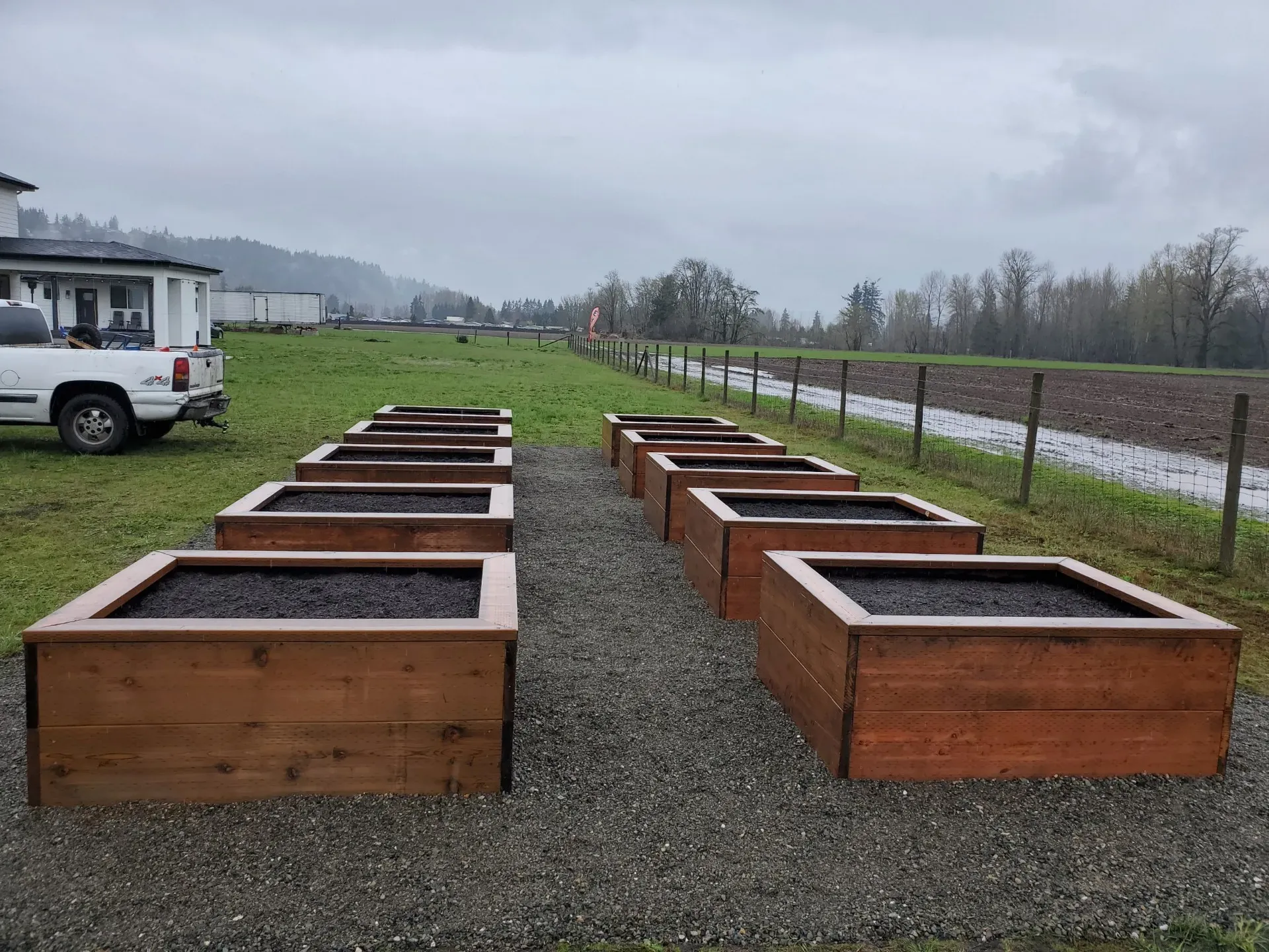Landscape services planting trees in Tacoma, WA.