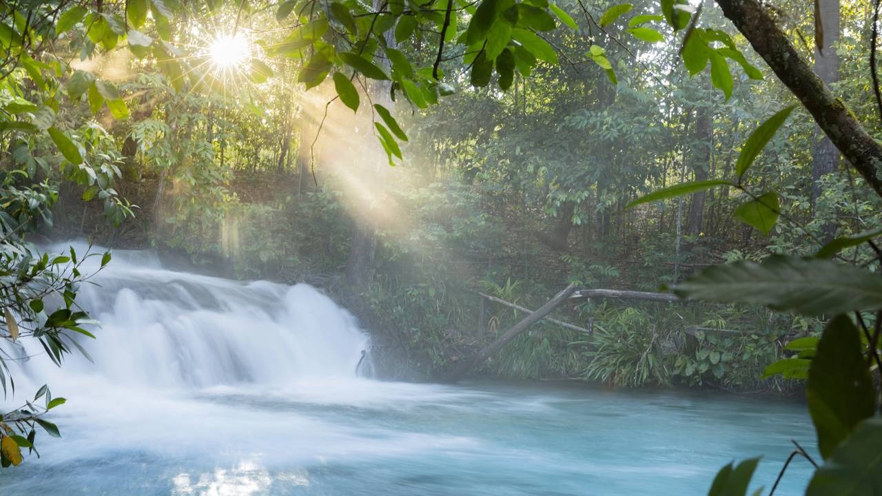 A sinfonia da natureza, com o som das águas e o sol na floresta, convida à paz acústica em destinos brasileiros. Cachoeira de águas claras em meio à floresta tropical, com raios de sol entre as árvores.