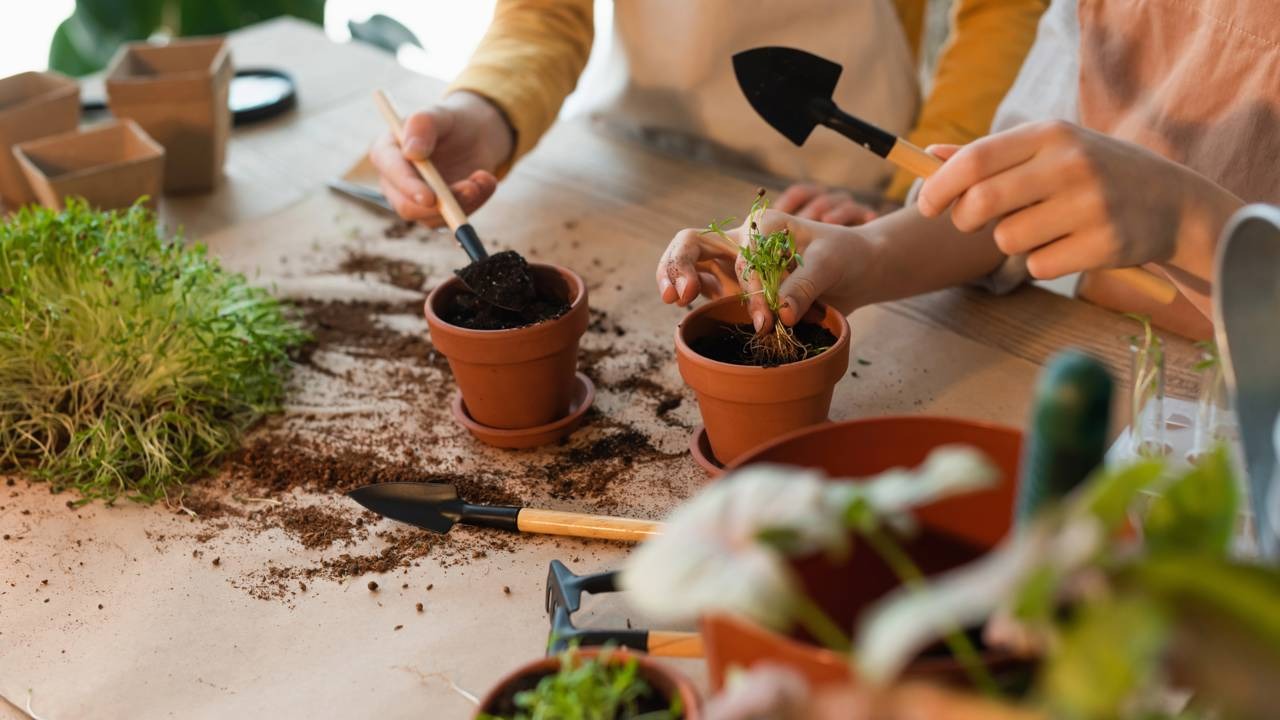 O plantio de mudas reflete o trabalho manual de Ana Hickmann e Edu Guedes no paisagismo da Casa Gialla. Mãos plantando mudas verdes em vasos de terracota com pequenas pás, em mesa de jardinagem