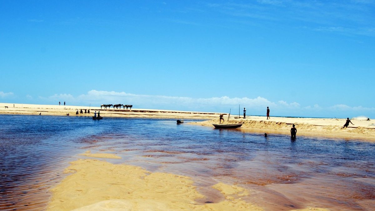 Praia tropical com rio, cavalos na areia, pessoas e barco sob céu azul claro.