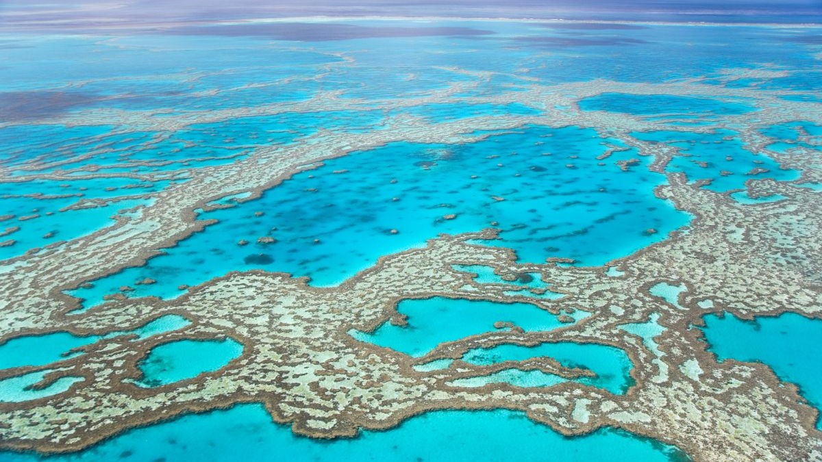 Vista aérea: grande recife de coral em águas azul-turquesa claras sob céu azul e cinza.