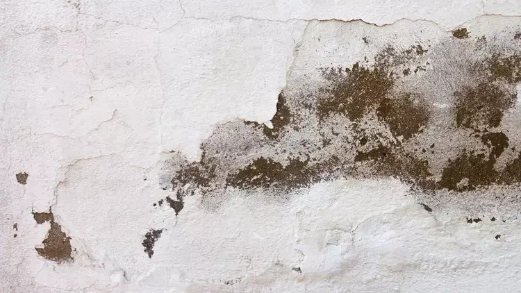 Parede branca com tinta descascada e manchas escuras, revelando a superfície por baixo