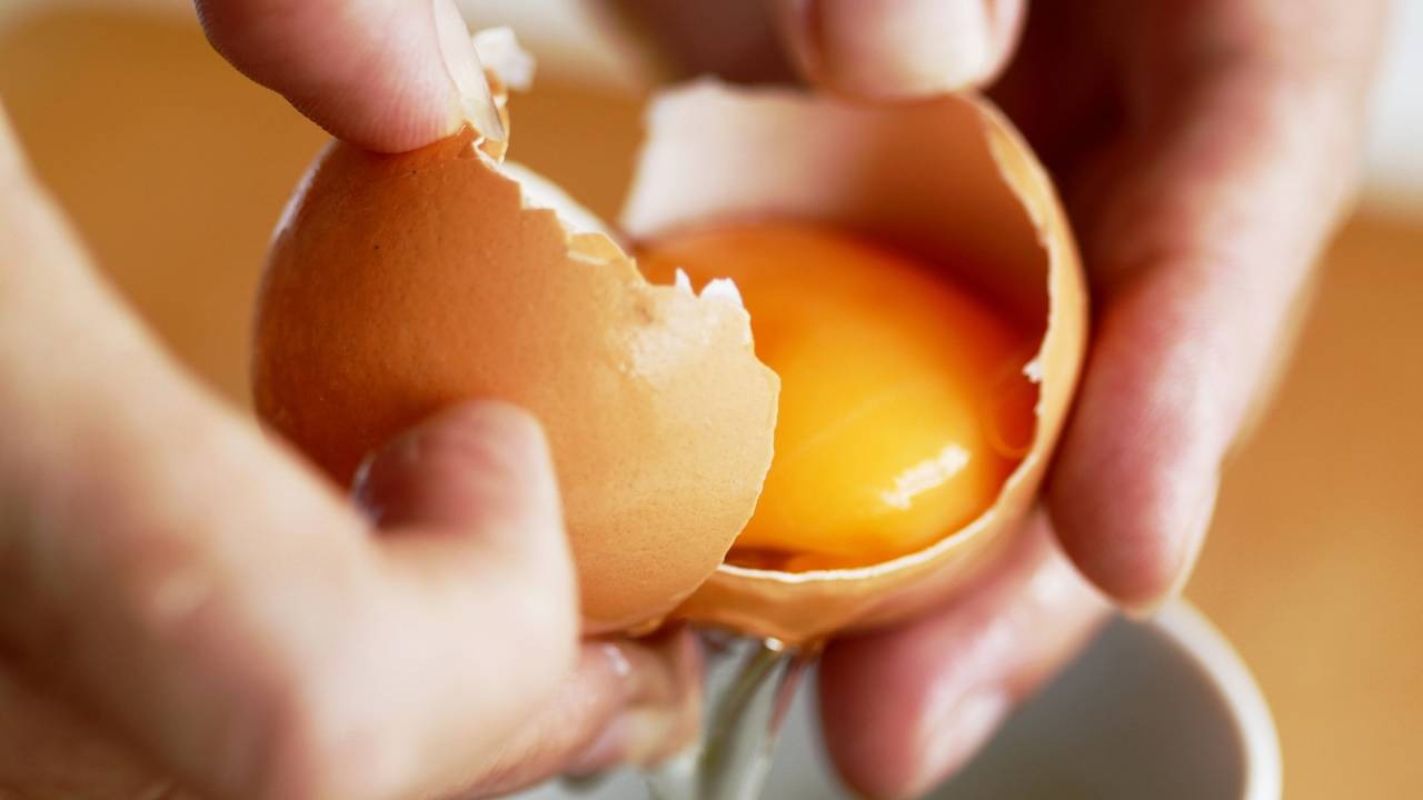O preparo do quindim começa com a separação das gemas, ingrediente essencial para a sobremesa brasileira. Mãos seguram ovo de casca marrom quebrado ao meio, com gema amarela visível e clara escorrendo
