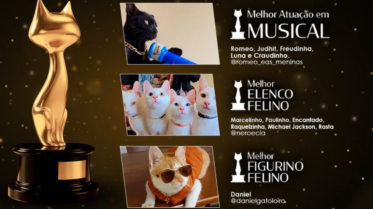 Trof&eacute;u Gato de Ouro e fotos de gatos vencedores de Musical, Elenco e Figurino.