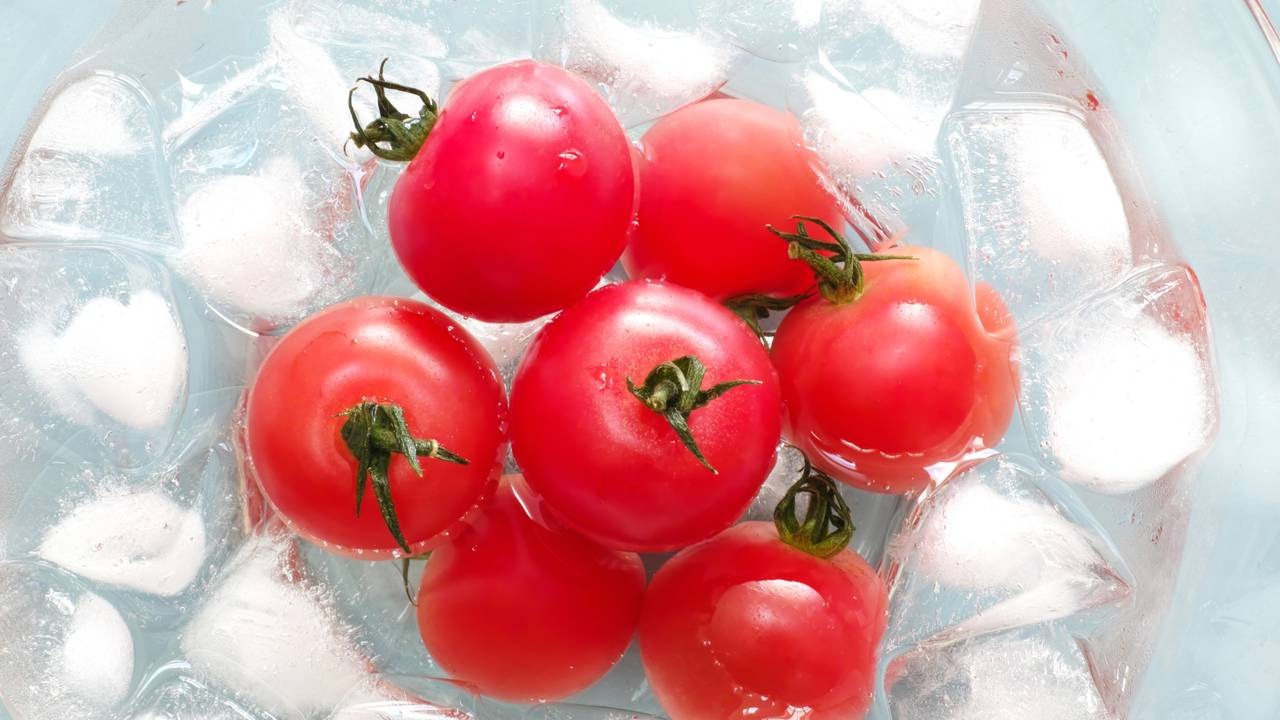 Tomates vermelhos com hastes verdes em uma tigela com gelo e água