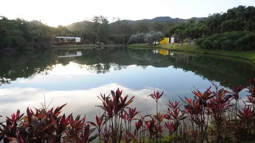O Instituto Inhotim em Brumadinho integra arte e a exuberância da natureza mineira em seus jardins e galerias. Lago calmo refletindo o céu, com folhagens vermelhas em primeiro plano e margens arborizadas.