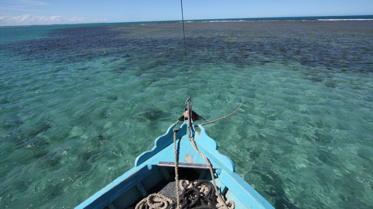 Proa de barco azul navegando em águas turquesas cristalinas, revelando o fundo do mar.