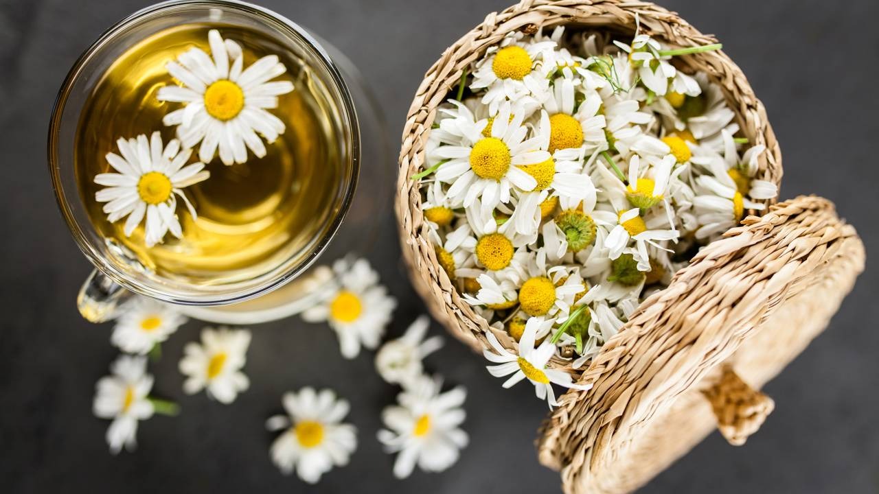 O chá de camomila, presente na imagem, é um tônico natural para acalmar o couro cabeludo e realçar o brilho de cabelos claros. Créditos: depositphotos.com / gdolgikh Xícara de chá de camomila com flores e cesta de camomilas frescas em fundo escuro.