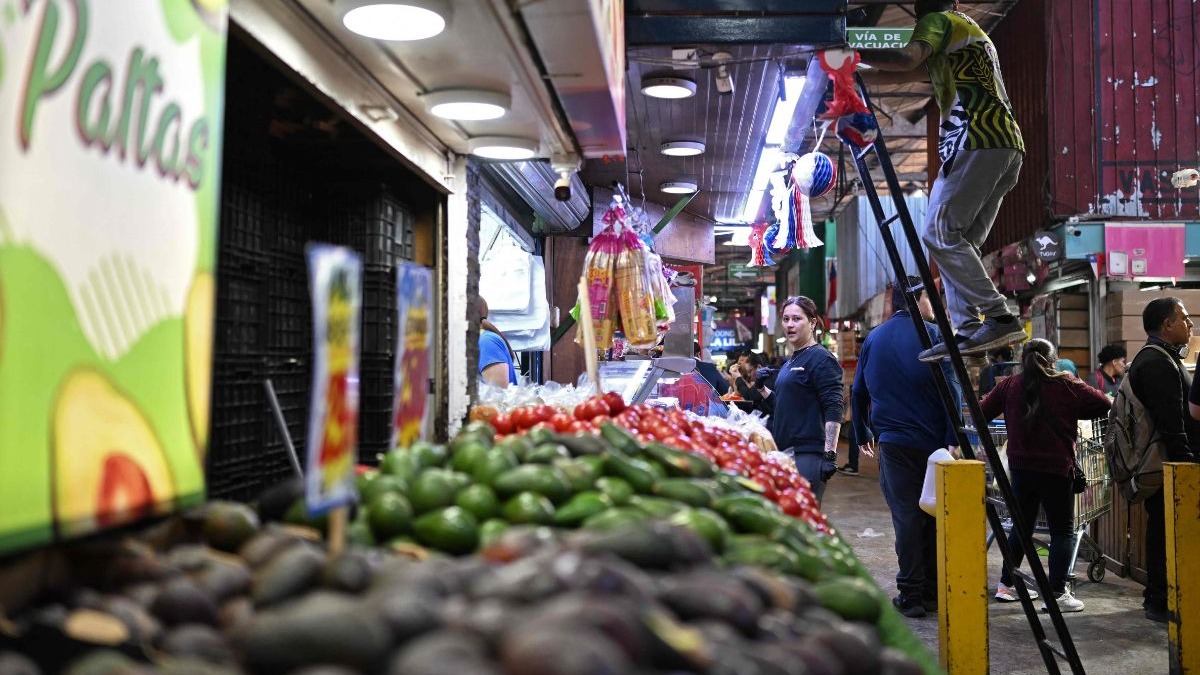 Bancas de mercado movimentadas com abacates e tomates, homem em escada, pessoas. Placa 'Paltas'.