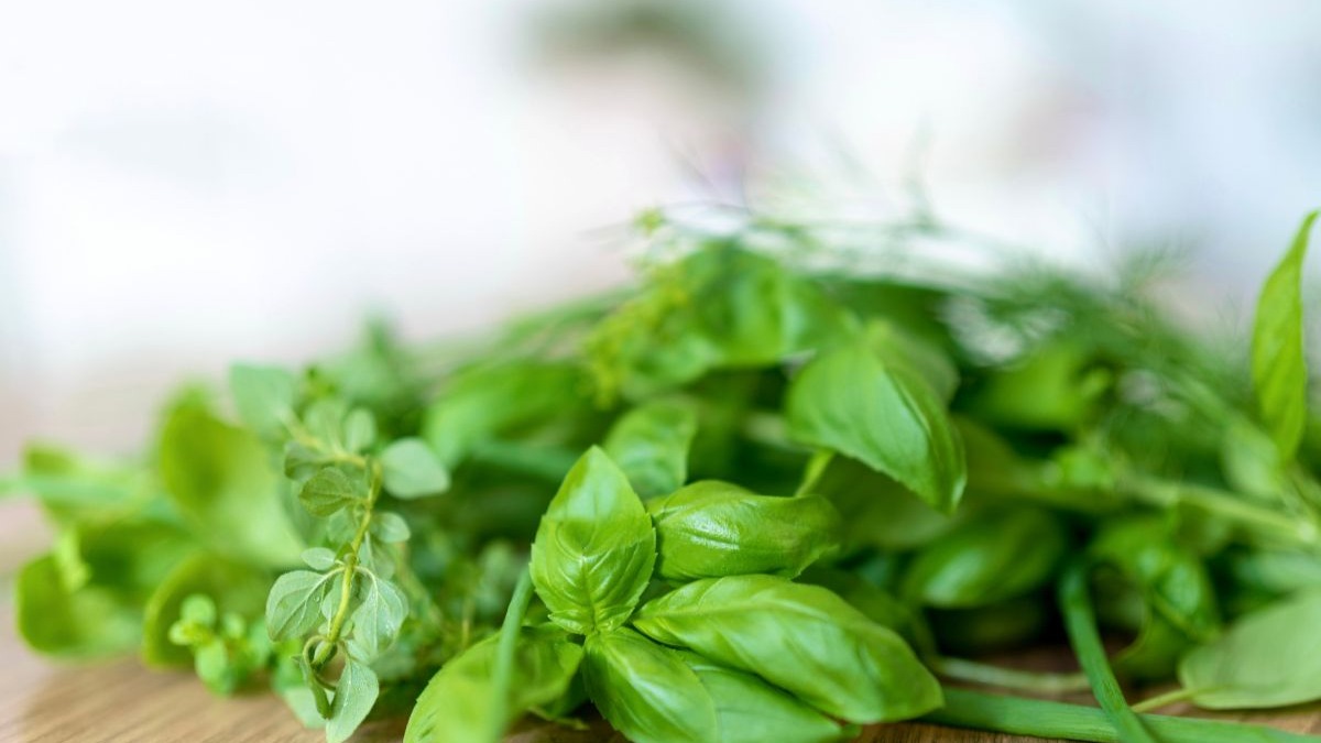 Close-up de diversas ervas frescas e verdes, como manjeric&atilde;o e or&eacute;gano, sobre uma superf&iacute;cie de madeira clara.