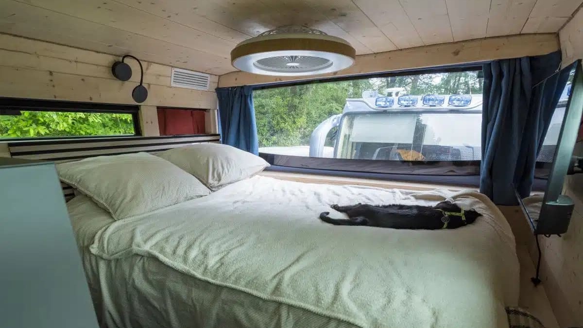 Cama com gato preto, janelas com vista verde, teto de madeira e ventilador em motorhome