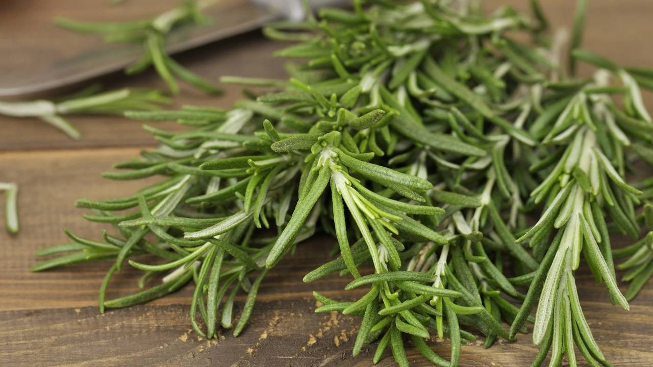 Alecrim fresco, um dos ingredientes naturais recomendados para estimular o crescimento capilar e fortalecer os fios. Créditos: depositphotos.com / svetas Ramos frescos de alecrim verde sobre uma superfície de madeira.