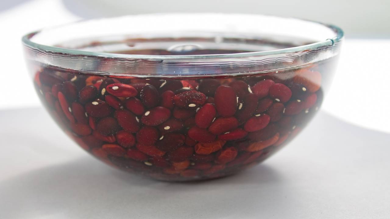 A técnica de deixar as leguminosas de molho antes do preparo é essencial para a correta absorção de nutrientes e para evitar desconforto digestivo Tigela de vidro com feijões vermelhos escuros de molho em água translúcida