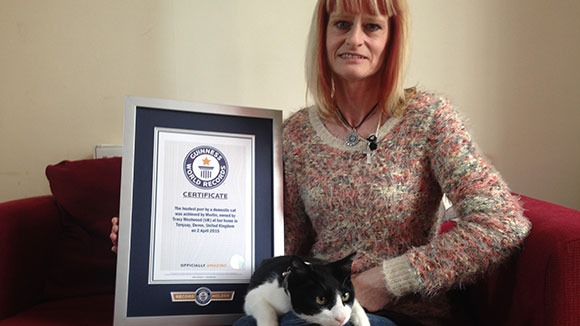 Tracy Westwood posa com Merlin, o gato recordista pelo ronronar mais alto, e o certificado do Guinness World Records em 2015. Mulher com gato no colo e certificado Guinness World Records para o ronronar mais alto.