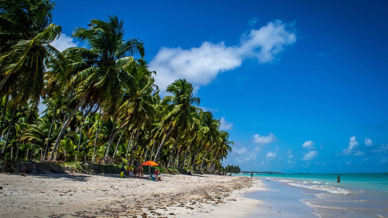 As praias paradisíacas do Nordeste brasileiro, como Maragogi, são opções ideais para aproveitar as férias de julho. Praia tropical com coqueiros, areia clara e mar azul-turquesa, com algumas pessoas na beira.
