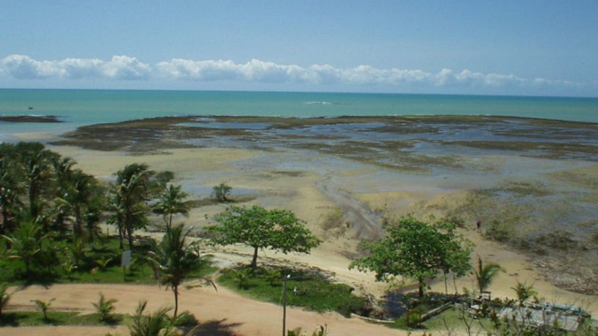 Vista aérea de praia com maré baixa, mar turquesa, areia clara e coqueiros sob céu azul.