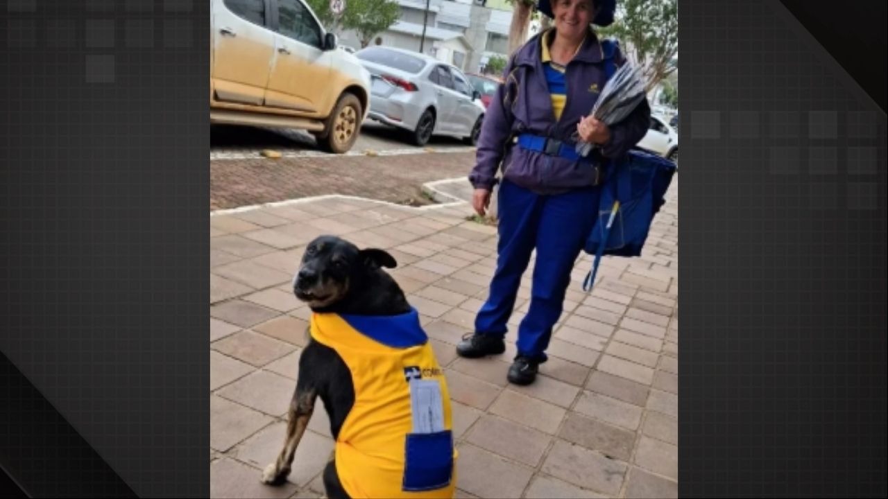 Duque, cão parceiro de entregas de Marlene Trevizan, recebeu um uniforme oficial após uma década de trabalho nas ruas de Paraí, RS. - Foto: Reprodução/ Redes sociais Carteira sorridente com cão preto uniformizado em calçada, com carros ao fundo.
